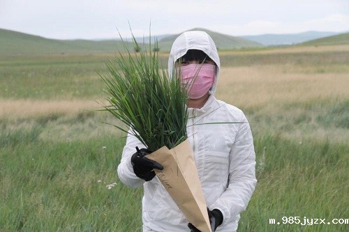 微信图片_20210312213224.jpg 微信图片_20210312213224.jpg