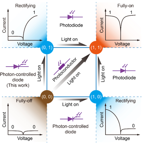 图片1.jpg 图片1.jpg