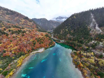 九寨沟震后八年生态恢复成效显著
