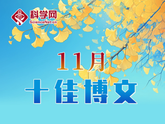 科学网2025年11月十佳博文榜单公布！