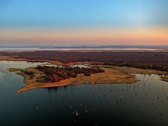 人类靠什么成功走出非洲